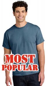 Most Popular Screen Printable Gildan® Heavy Cotton™ 100% Cotton T-Shirt